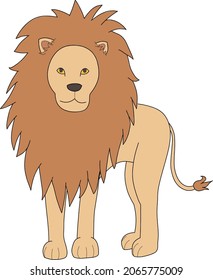 Hand drawn vector illustration of a standing lion with a large mane.