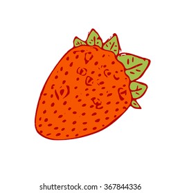 Hand drawn vector illustration of strawberry.