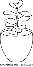 Hand drawn vector illustration of a succulent