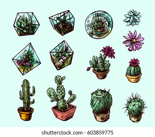 Hand drawn vector illustration  succulents and cactus. Sketch style. 