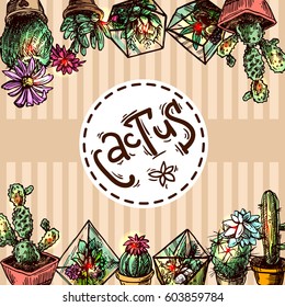 Hand drawn vector illustration  succulents and cactus. Sketch style. 