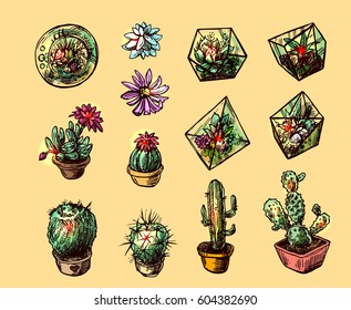 Hand drawn vector illustration  succulents and cactus. Sketch style. 