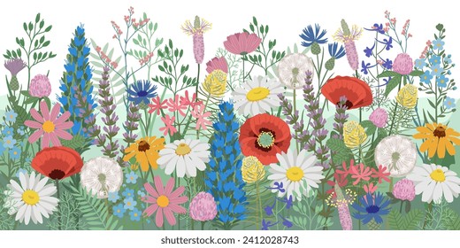 Hand drawn vector illustration. Summer horizontal Background wildflowers. Blossom meadow