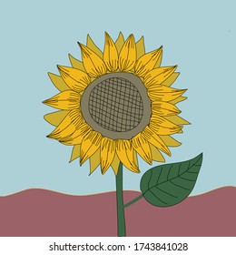 Handgezeichnete Vektorgrafik von Sonnenblumen auf blauem Hintergrund.