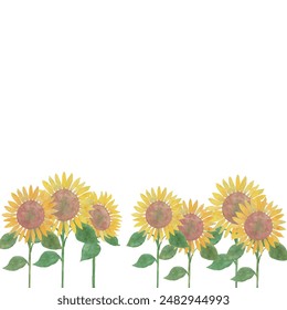 Hand drawn vector illustration of sunflowers in watercolor