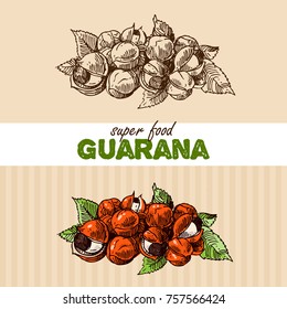 Hand drawn vector illustration superfoods. Sketch style drawing.  Us for Invitations, flyers, postcards, menu etc