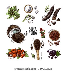 Superalimentos dibujados a mano para ilustraciones vectoriales. Dibujo de estilo de esbozo. Bayas de Goji, acai, estevia, coco, guaraná, querob, chia semillas. 