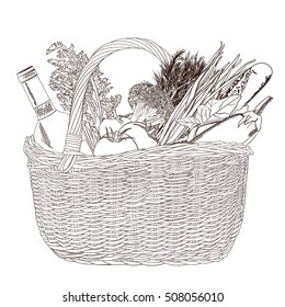 Hand drawn vector illustration - Supermarket shopping basket with organic food. Picnic basket.