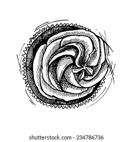 Hand drawn vector illustration - Sweet cupcake with cream. Top view