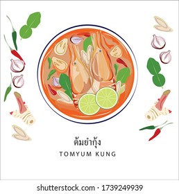 Hand drawn vector illustration  Thai food , Tom yum kung and Ingredients . white background, top view.Translation: Prawn.