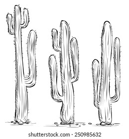 Hand drawn vector illustration. Three Mexican cactuses. Isolated on white.