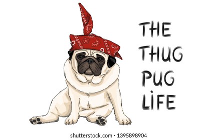 hand drawn vector illustration of thug pug puppy dog, sitting down with red western scarf bandana and text