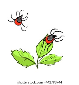 hand drawn vector illustration of ticks on the sheet. vector eps 8