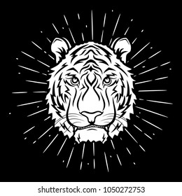 Hand drawn vector illustration with a Tiger head and divergent rays on blackboard. Used for poster, banner, web, t-shirt print, bag print, badges, flyer, logo design and more