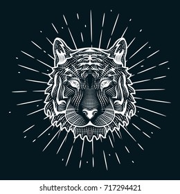 Hand drawn vector illustration with a Tiger head and divergent rays on blackboard. Used for poster, banner, web, t-shirt print, bag print, badges, flyer, logo design and more.