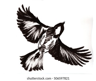 hand drawn vector illustration of 
tit bird painted by black ink on white background