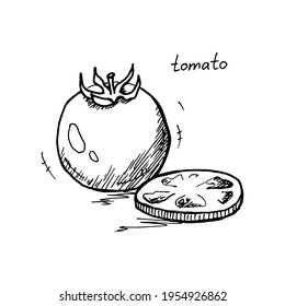 Hand drawn vector illustration – a tomato. Black and white linear sketch