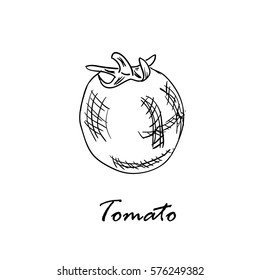 Hand drawn vector illustration of tomato isolated on white