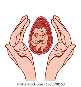 Hand drawn vector illustration. Two hands and embryo in center. Hands hold  fetus.