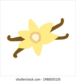 Dibujo manual vectorial de la flor de vainilla con vainas de vainilla. Aislado sobre fondo blanco
