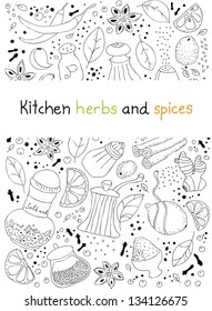 Hand drawn vector illustration of various kitchen herbs and spices doodles elements. You can find full drawing elements under white field. Isolated on white background