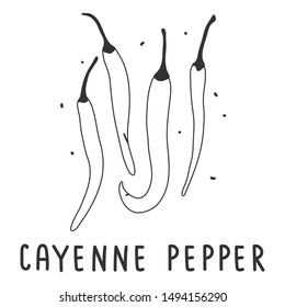 hand drawn vector illustration of various kinds of pepper vegetable. Simple linear handdrawn drawing of cayenne hot pepper sort. Cooking ingredient isolated element in sketch style.