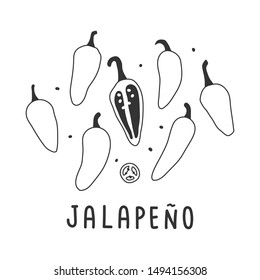 Hand Drawn Vector Illustration Of Various Kinds Of Pepper Vegetable. Simple Linear Handdrawn Drawing Of Jalapeno Pepper Sort. Cooking Ingredient Isolated Element In Sketch Style.