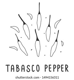 hand drawn vector illustration of various kinds of pepper vegetable. Simple linear handdrawn drawing of tabasco hot pepper sort. Cooking ingredient isolated element in sketch style.