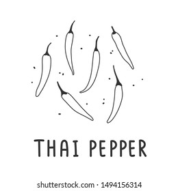 hand drawn vector illustration of various kinds of pepper vegetable. Simple linear handdrawn drawing of thai hot pepper sort. Cooking ingredient isolated element in sketch style.