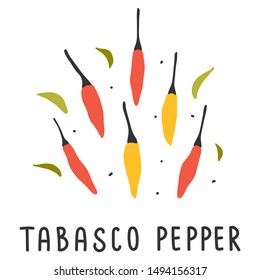 hand drawn vector illustration of various kinds of pepper vegetable. Simple handdrawn drawing of tabasco pepper sort. Cooking ingredient isolated element in sketch style.