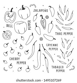 hand drawn vector illustration, various kinds of pepper vegetable. Simple colorful handdrawn drawing of cayenne, tabasco, chili, bell, sweet sorts. Cooking ingredient isolated element in sketch style.
