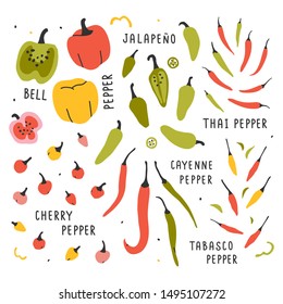 hand drawn vector illustration, various kinds of pepper vegetable. Simple colorful handdrawn drawing of cayenne, tabasco, chili, bell, sweet sorts. Cooking ingredient isolated element in sketch style.