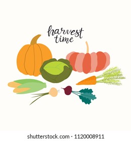 Hand drawn vector illustration of vegetables, pumpkins, cabbage, beet, carrot, onion, corn, with lettering quote Harvest Time. Isolated objects on white background. Flat style design. Concept for fall