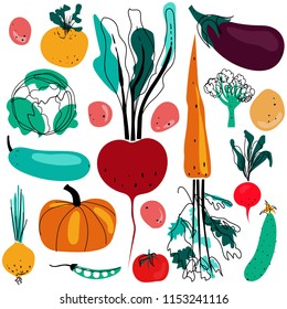 Hand drawn vector illustration with vegetables.