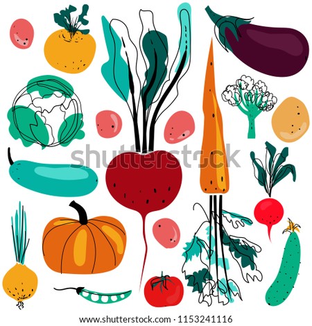 Hand drawn vector illustration with vegetables.