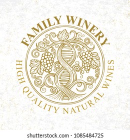 Hand drawn vector illustration of vineyard and grapes.
Wine tradition concept. DNA and infinity symbols drawn with grape vine.
