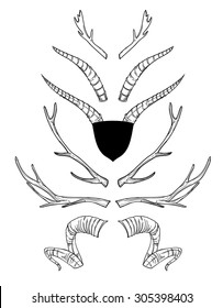 Hand drawn vector illustration.  Vintage decorative collection.  Tribal design elements. Kit of deer horns 
