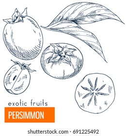 Hand drawn vector illustration, vintage engraving style.
