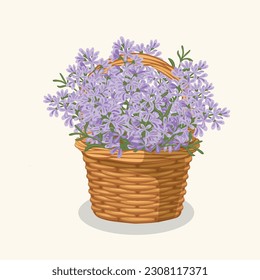 Ilustración vectorial dibujada a mano de flores de lavanda violeta ramo en una cesta de mimbre