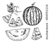 Hand drawn vector illustration - watermelon and slices with seeds. Flowering branch. Design elements in sketch style
