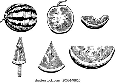 Hand drawn vector illustration watermelon and slices with seeds. Vector set of black and white watermelon fruits. 