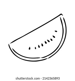 Hand drawn vector illustration - watermelon . Design elements in sketch style watermelon vector sketch