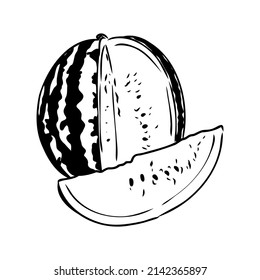 Ilustración vectorial dibujada a mano - sandía . Elementos de diseño en esbozo estilo sandía boceto vectorial