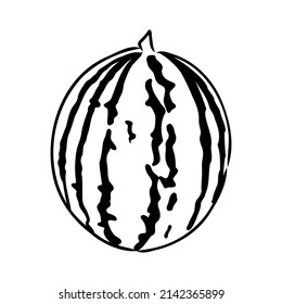Ilustración vectorial dibujada a mano - sandía . Elementos de diseño en esbozo estilo sandía boceto vectorial