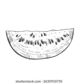 Hand drawn vector illustration watermelon slice with seeds.