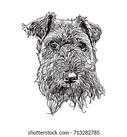 Hand drawn vector illustration welsh terrier. Sketch style dog. Realistic Symbol of 2018 new year. Animal portrait.