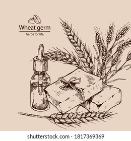 Hand drawn vector illustration of wheat germ oil and soap for cosmetics, medicine, treating, aromatherapy, package design healthcare.