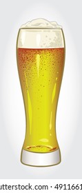 Hand drawn vector illustration of Wheat Beer in a beer glass on white background.