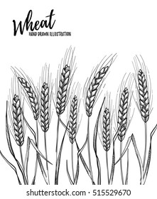 Hand drawn vector illustration - Wheat. Tribal design elements. Perfect for menu, cards, posters, prints, banners