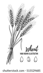 Hand drawn vector illustration - Wheat. Tribal design elements. Perfect for menu, cards, posters, prints, banners